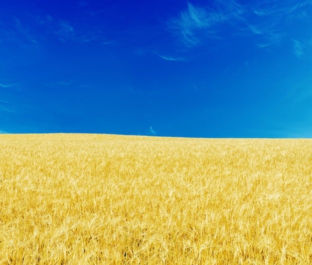 Trade Agreements Impact on US Agricultural Exports in 2025