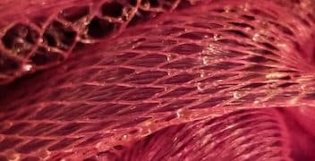 Latest Bioprinting Innovations in US Medical Applications - Cover Image