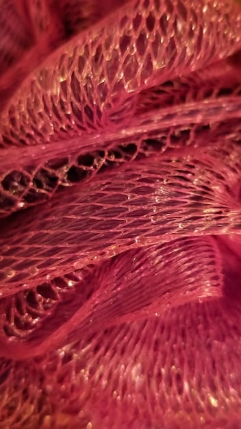 Latest Bioprinting Innovations in US Medical Applications