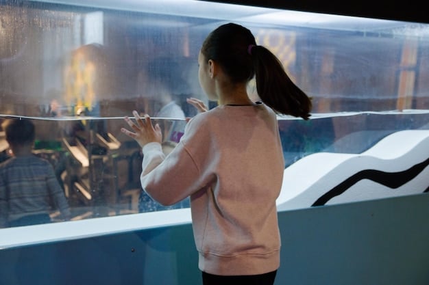 The Future of Art Museums: Adapting to the Digital World